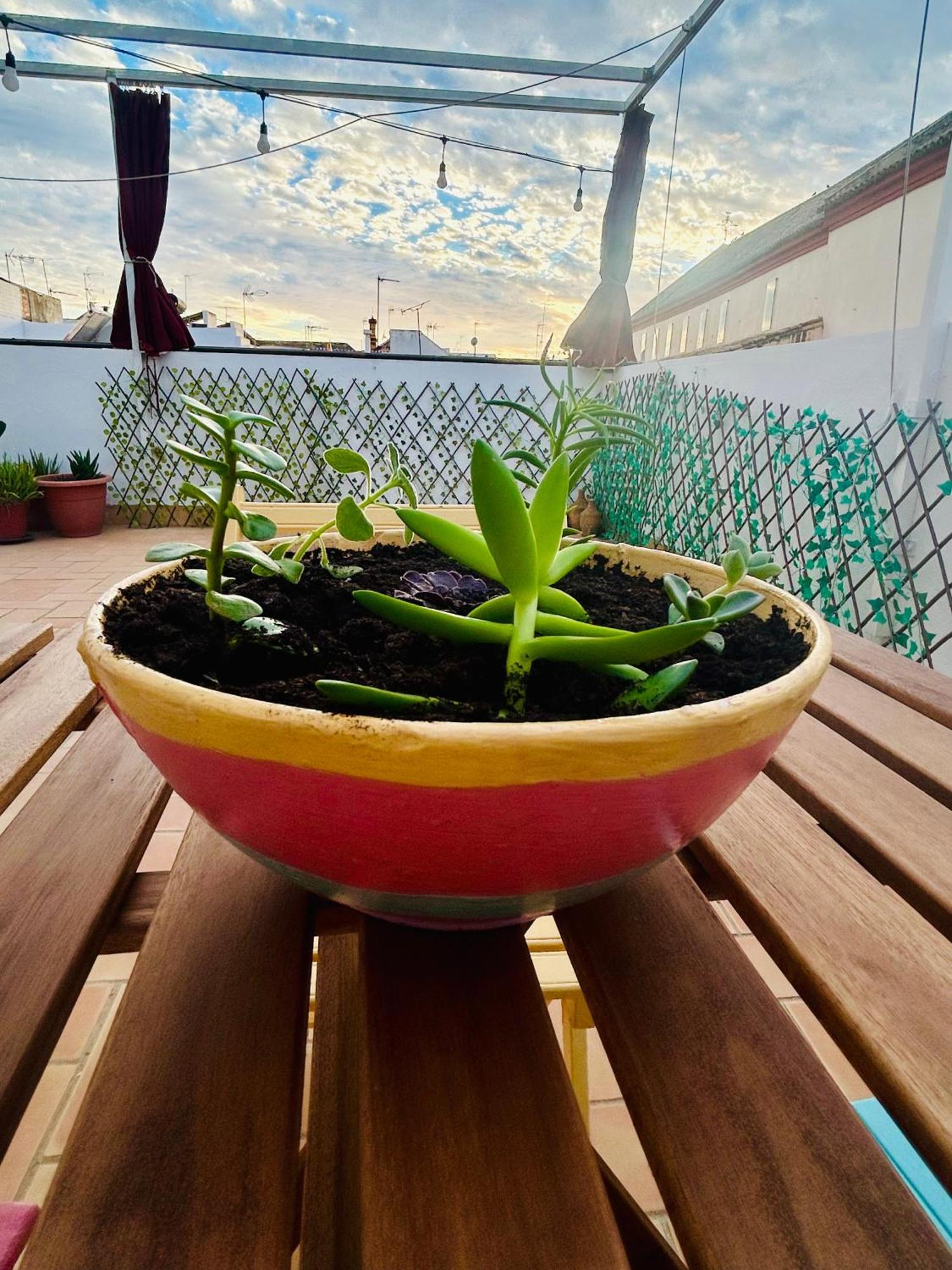La Azotea Del Sol Daire Sevilla Dış mekan fotoğraf