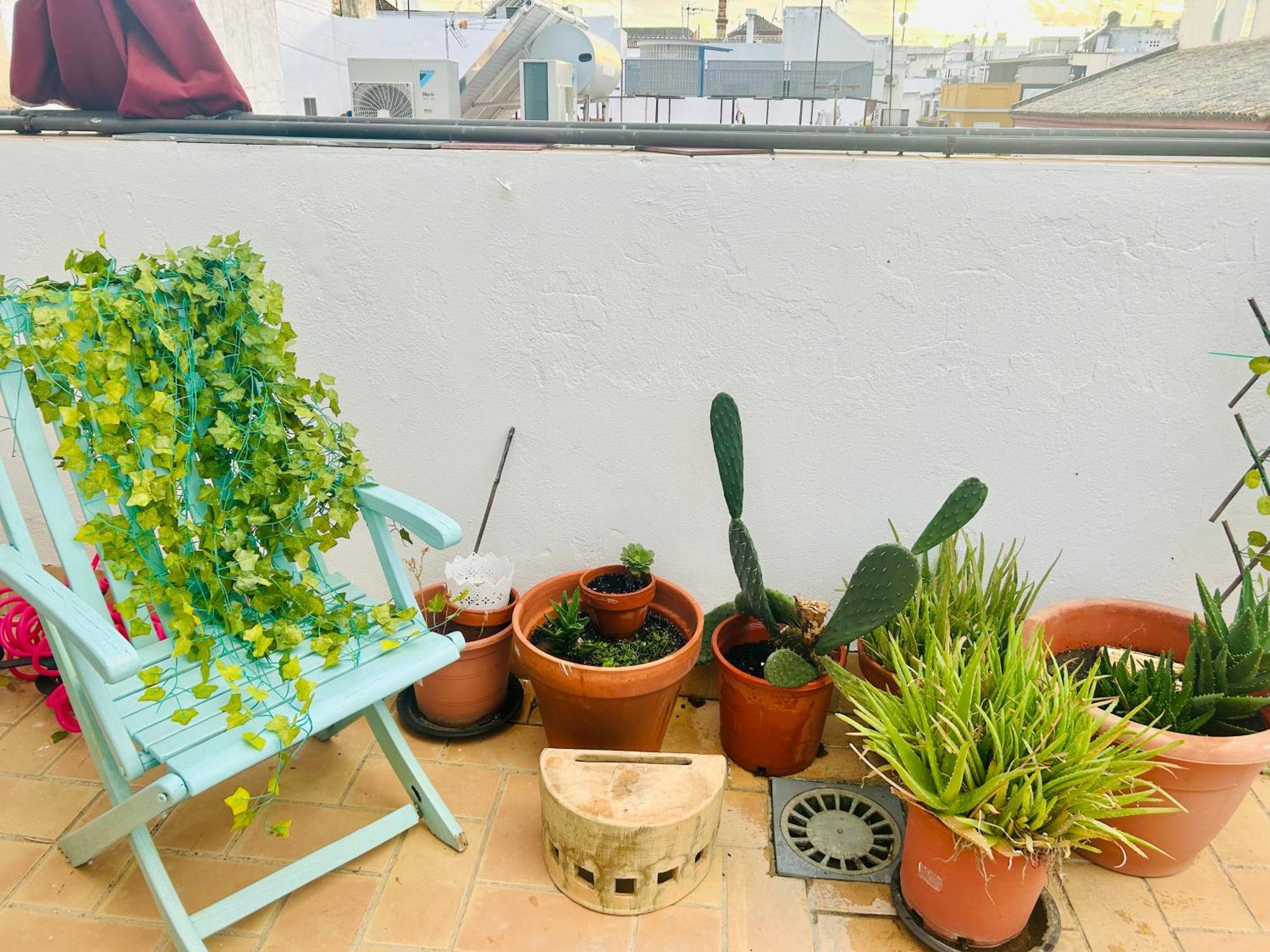 La Azotea Del Sol Daire Sevilla Dış mekan fotoğraf