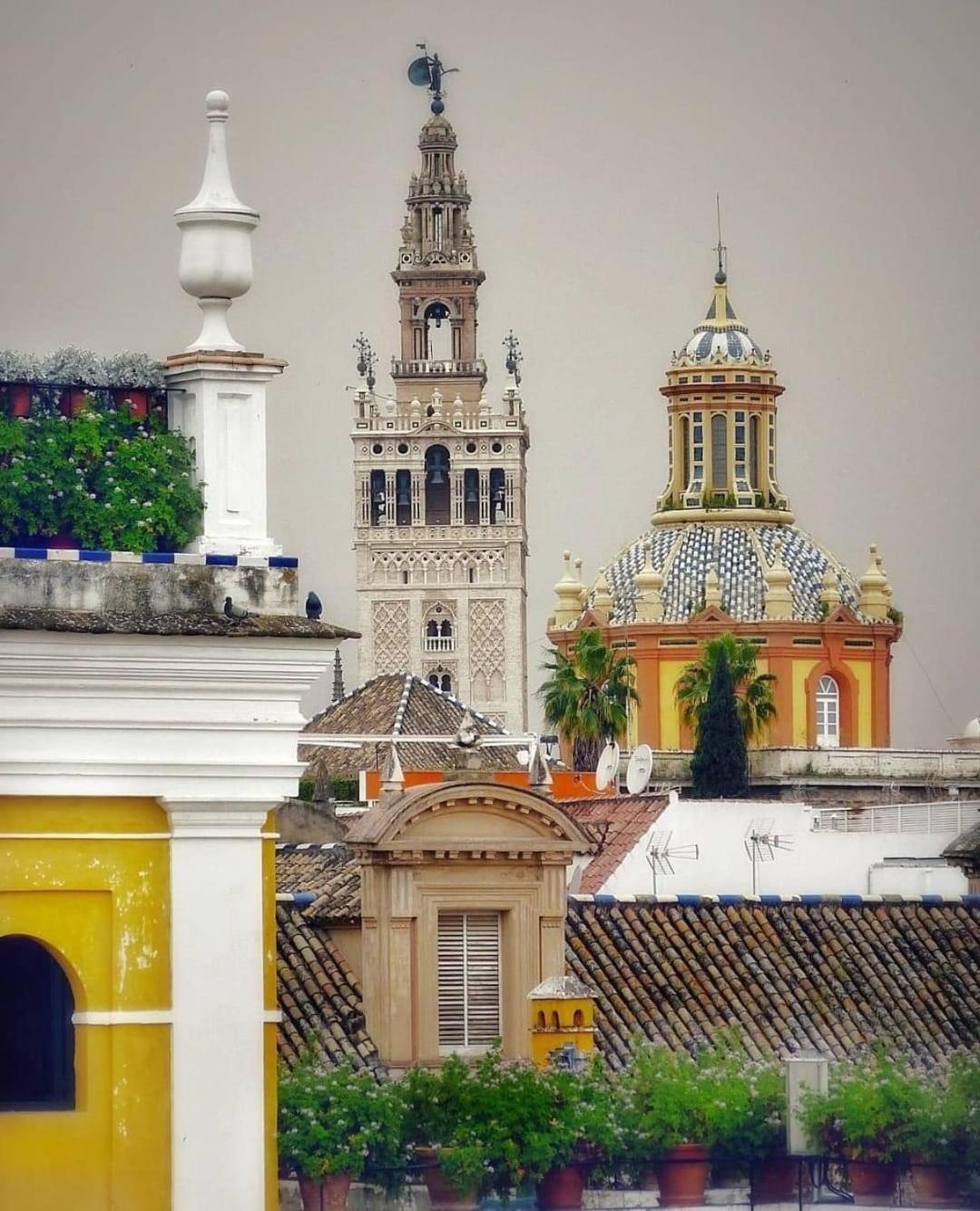 La Azotea Del Sol Daire Sevilla Dış mekan fotoğraf